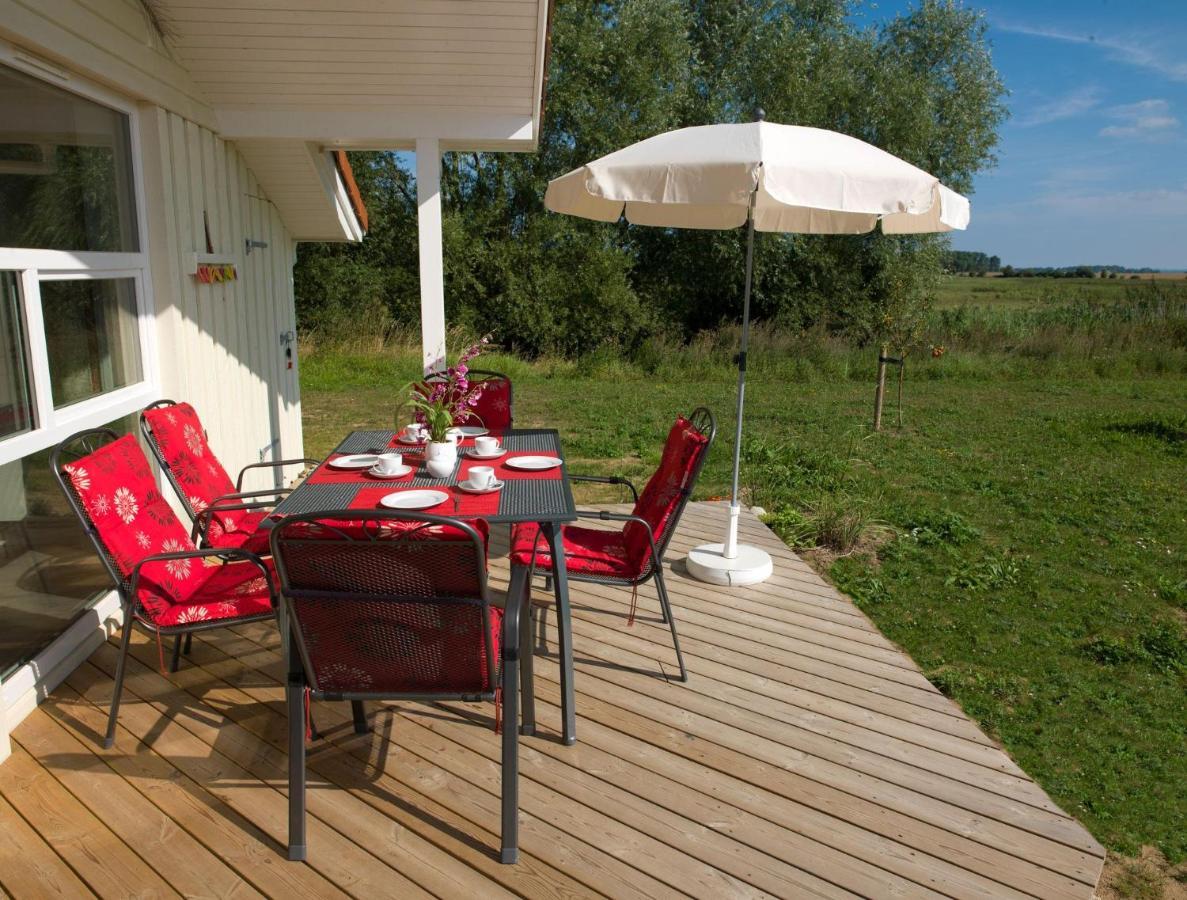 Daenische Ferienhaeuser Am Salzhaff Haus Vogelparadies Insel Poel Ngoại thất bức ảnh