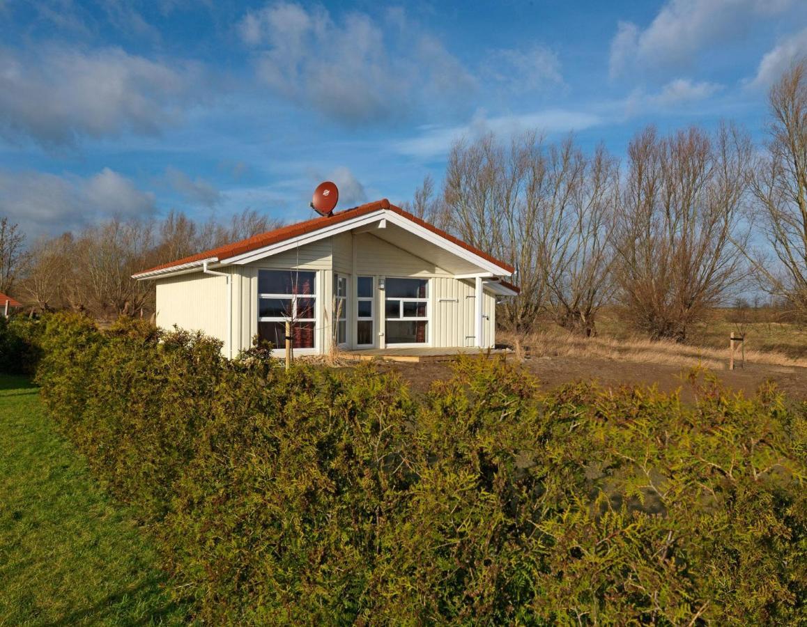 Daenische Ferienhaeuser Am Salzhaff Haus Vogelparadies Insel Poel Ngoại thất bức ảnh