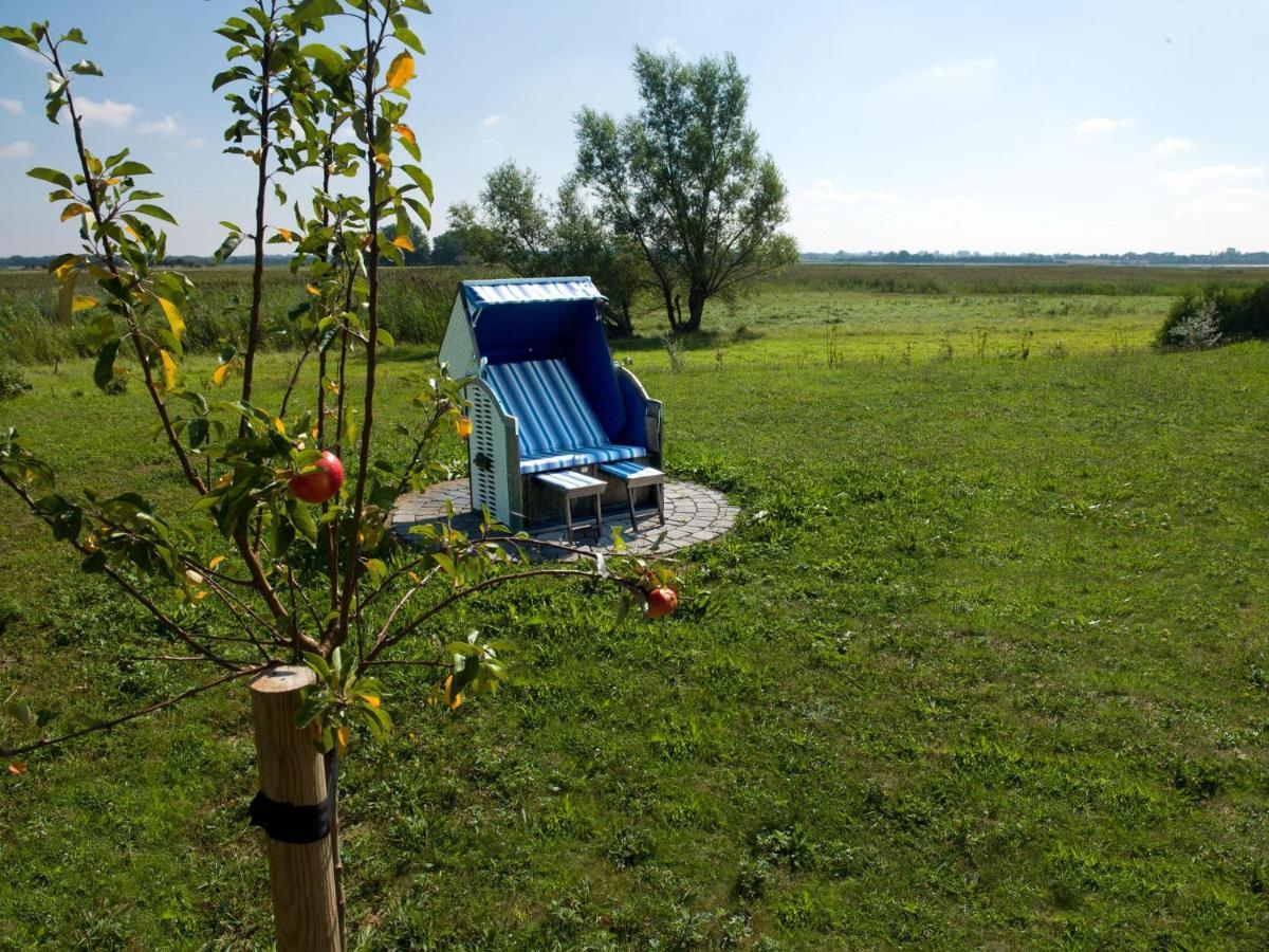 Daenische Ferienhaeuser Am Salzhaff Haus Vogelparadies Insel Poel Ngoại thất bức ảnh