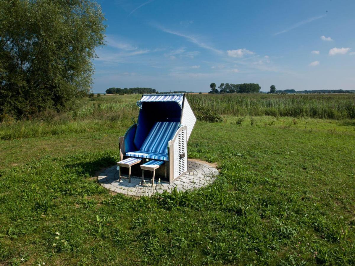 Daenische Ferienhaeuser Am Salzhaff Haus Vogelparadies Insel Poel Ngoại thất bức ảnh